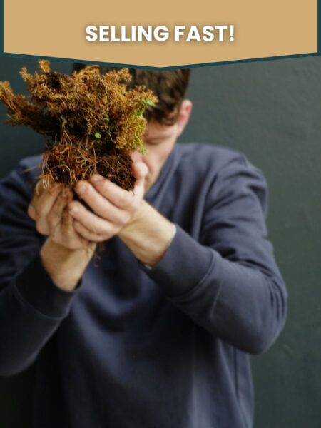 Luke Casserly, head slightly bowed, presents a handful of lichen as an offering to the audience, overlaid with the words "selling fast" - Distillation