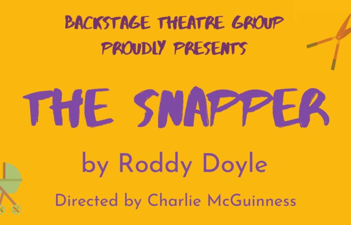 the snapper poster image