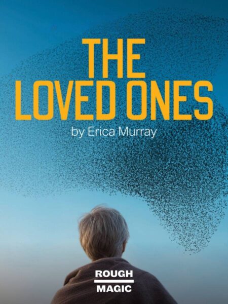 A woman wearing a woolen shawl stands outside with her back to us while gazing up at a murmuration of birds against a blue, late evening sky. The title "The Loved Ones by Erica Murray" is overlaid.